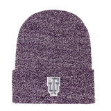 Bueller Beanie | Purple