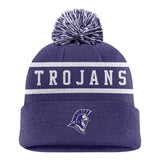 Peak Stripe Beanie | Purple/White