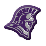 XL Mascot Pillow | Trojan