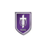 Foxboro Shield Lapel Pin