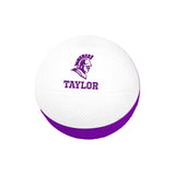 Medium 4" Foam Basketball, White/Purple (SG004)