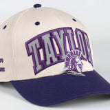 The 1995 Hat | Khaki/ Purple
